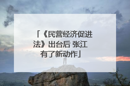 《民营经济促进法》出台后 张江有了新动作