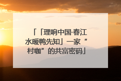 「理响中国·春江水暖鸭先知」一家“村咖”的共富密码