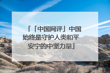 「中国网评」中国始终是守护人类和平安宁的中坚力量