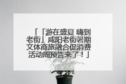 「游在盛夏 嗨到老街」咸阳老街暑期文体商旅融合促消费活动周预告来了！