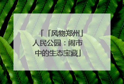 「风物郑州」人民公园：闹市中的生态宝藏