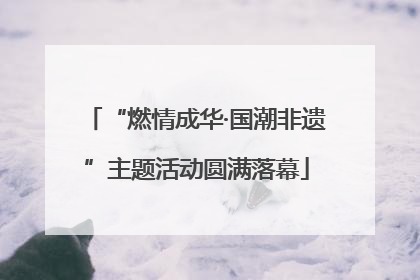 “燃情成华·国潮非遗”主题活动圆满落幕