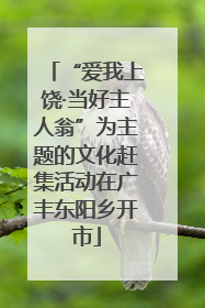 “爱我上饶·当好主人翁”为主题的文化赶集活动在广丰东阳乡开市
