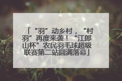 “羽”动乡村，“村羽”再度来袭！“江郎山杯”农民羽毛球超级联赛第二站圆满落幕