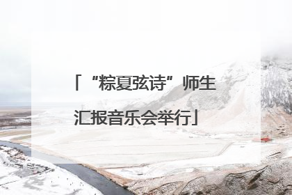 “粽夏弦诗”师生汇报音乐会举行