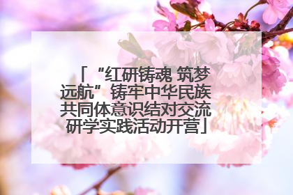 “红研铸魂 筑梦远航”铸牢中华民族共同体意识结对交流研学实践活动开营