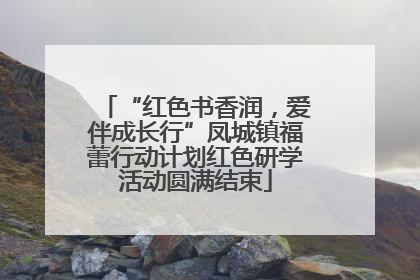 “红色书香润，爱伴成长行”凤城镇福蕾行动计划红色研学活动圆满结束