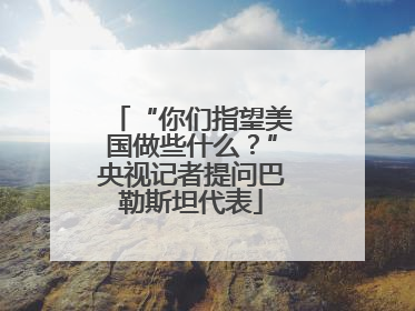 “你们指望美国做些什么？”央视记者提问巴勒斯坦代表