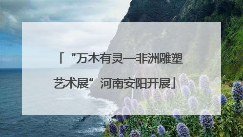 “万木有灵—非洲雕塑艺术展”河南安阳开展