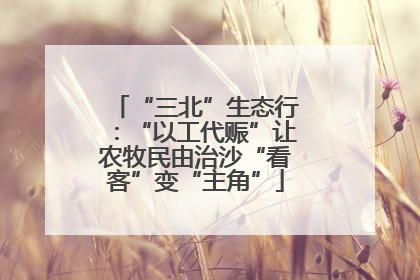 “三北”生态行：“以工代赈”让农牧民由治沙“看客”变“主角”