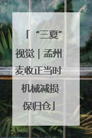 “三夏”视觉｜孟州麦收正当时 机械减损保归仓