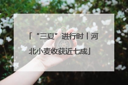 “三夏”进行时丨河北小麦收获近七成