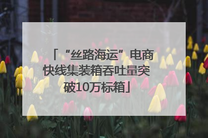 “丝路海运”电商快线集装箱吞吐量突破10万标箱