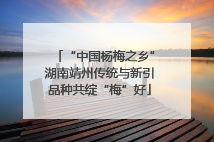 “中国杨梅之乡”湖南靖州传统与新引品种共绽“梅”好