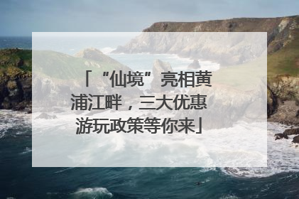 “仙境”亮相黄浦江畔，三大优惠游玩政策等你来