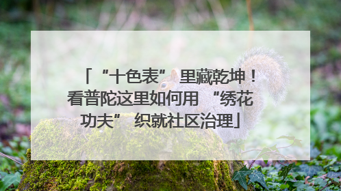“十色表” 里藏乾坤！看普陀这里如何用 “绣花功夫” 织就社区治理