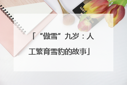 “傲雪”九岁：人工繁育雪豹的故事