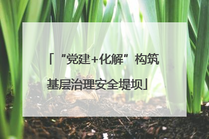 “党建+化解”构筑基层治理安全堤坝