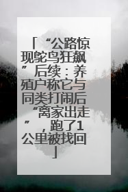“公路惊现鸵鸟狂飙”后续：养殖户称它与同类打闹后“离家出走”，跑了1公里被找回