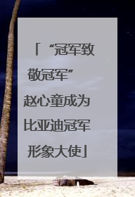 “冠军致敬冠军” 赵心童成为比亚迪冠军形象大使