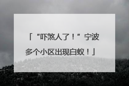 “吓煞人了！”宁波多个小区出现白蚁！