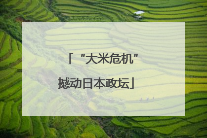 “大米危机”撼动日本政坛