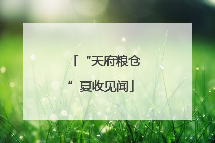 “天府粮仓”夏收见闻