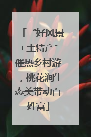 “好风景+土特产”催热乡村游，桃花涧生态美带动百姓富