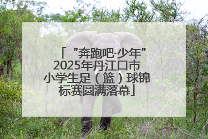 “奔跑吧·少年”2025年丹江口市小学生足（篮）球锦标赛圆满落幕