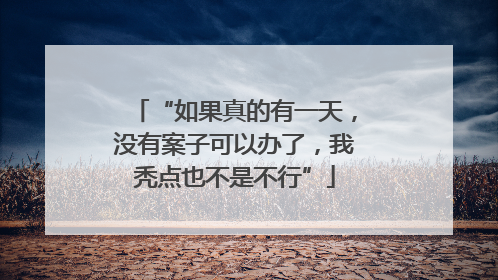 “如果真的有一天，没有案子可以办了，我秃点也不是不行”