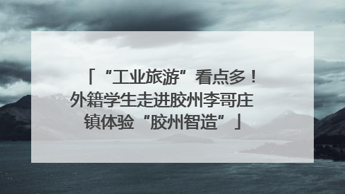 “工业旅游”看点多！外籍学生走进胶州李哥庄镇体验“胶州智造”