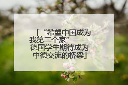 “希望中国成为我第二个家”——德国学生期待成为中德交流的桥梁