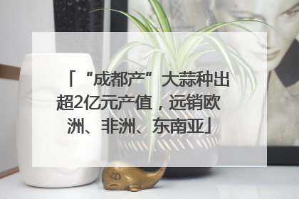 “成都产”大蒜种出超2亿元产值，远销欧洲、非洲、东南亚