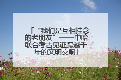 “我们是互相挂念的老朋友”——中哈联合考古见证跨越千年的文明交响