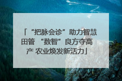 “把脉会诊”助力智慧田管 “数智”良方夺高产 农业焕发新活力
