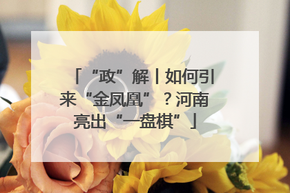 “政”解丨如何引来“金凤凰”？河南亮出“一盘棋”