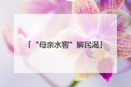 “母亲水窖”解民渴