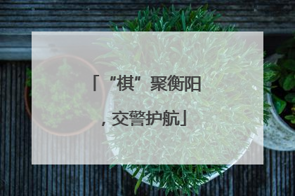 “棋”聚衡阳，交警护航