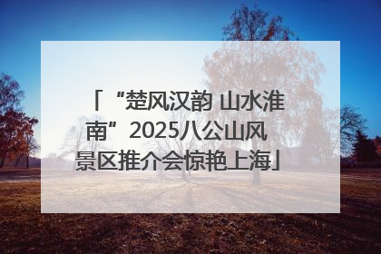 “楚风汉韵 山水淮南”2025八公山风景区推介会惊艳上海