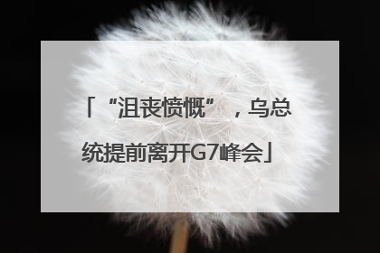 “沮丧愤慨”，乌总统提前离开G7峰会