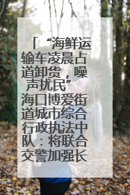 “海鲜运输车凌晨占道卸货，噪声扰民” 海口博爱街道城市综合行政执法中队：将联合交警加强长堤路一带巡逻