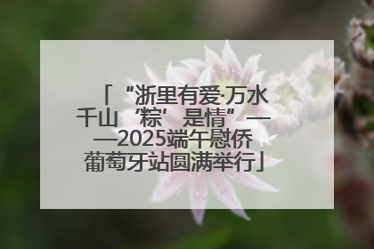 “浙里有爱·万水千山‘粽’是情”——2025端午慰侨葡萄牙站圆满举行