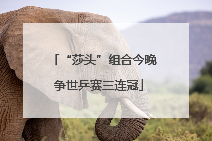 “莎头”组合今晚争世乒赛三连冠