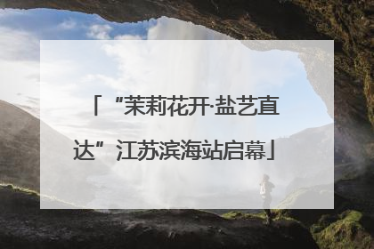 “茉莉花开·盐艺直达”江苏滨海站启幕