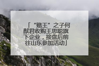 “赌王”之子何猷君收购王思聪旗下企业，接盘后前往山东参加活动