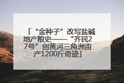 “金种子”改写盐碱地产粮史——“齐民27号”创黄河三角洲亩产1200斤奇迹