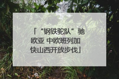 “钢铁驼队”驰欧亚 中欧班列加快山西开放步伐