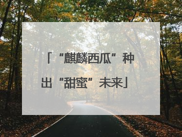“麒麟西瓜”种出“甜蜜”未来