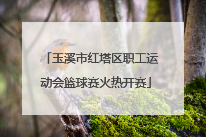 玉溪市红塔区职工运动会篮球赛火热开赛