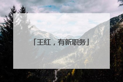 王红，有新职务